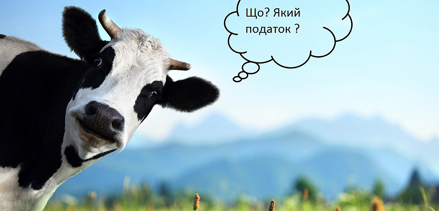 Ставки единого налога и ЕСВ для предпринимателей в 2019 году